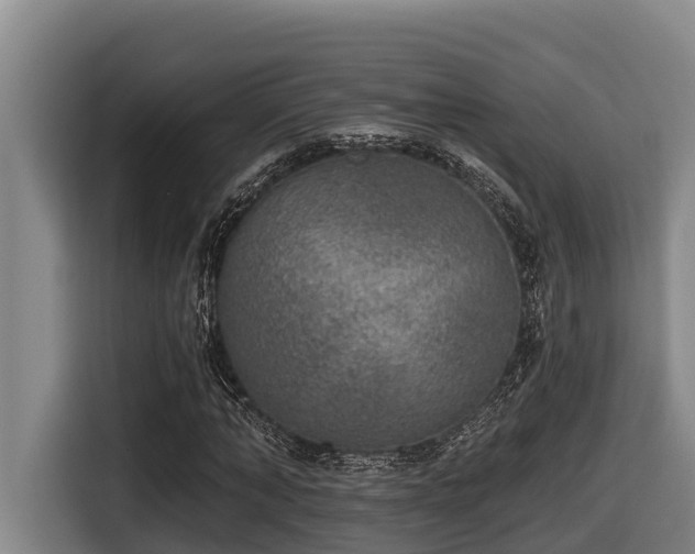 X0000116450870200912081616