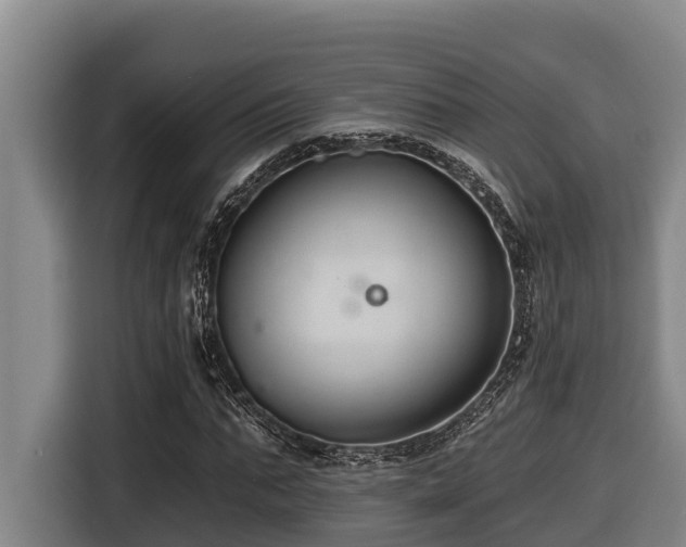 X0000116450871200912081616