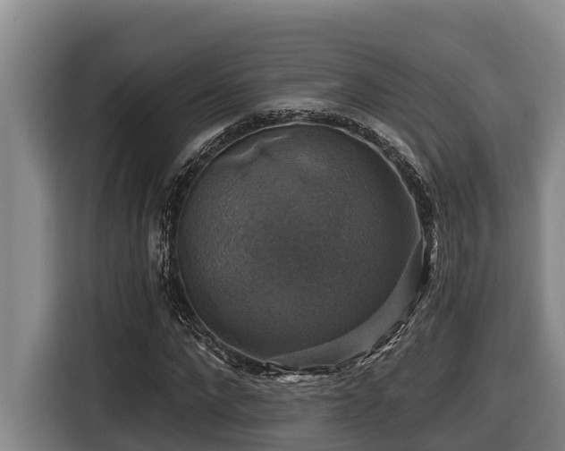X0000116450872200912081616