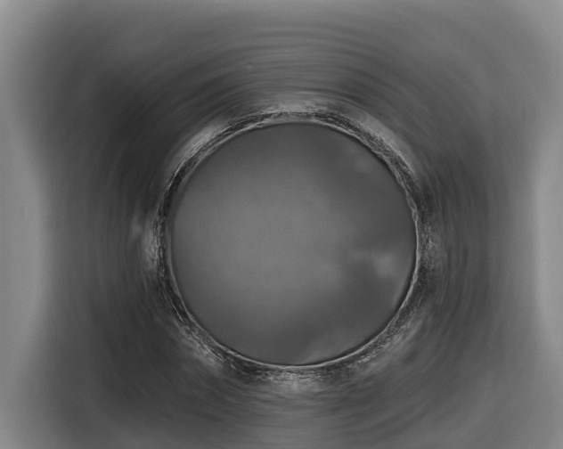 X0000116450874200912081616