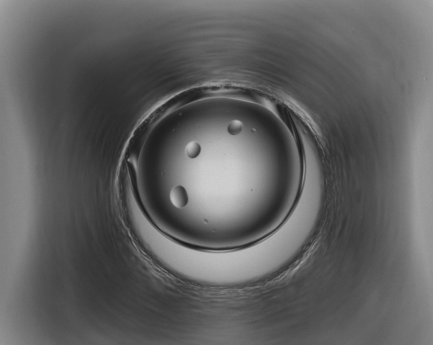 X0000116450876200912081616