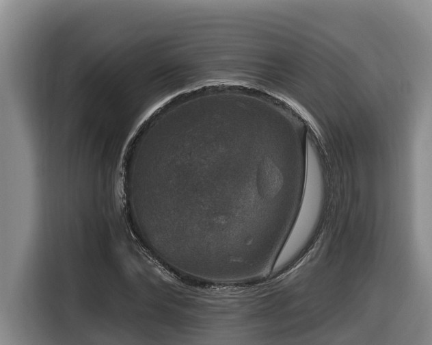 X0000116450878200912081616