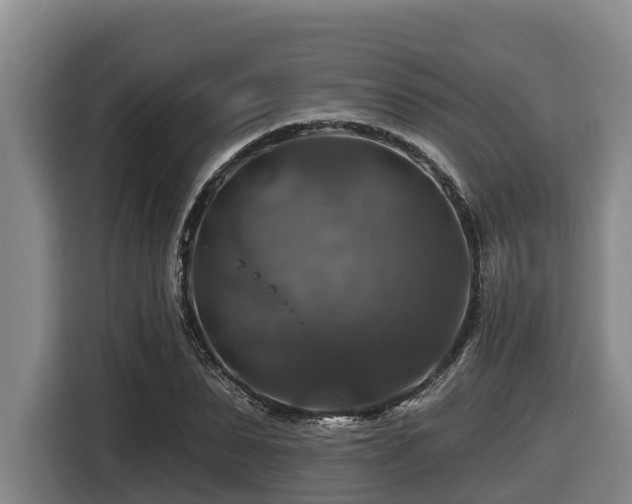 X0000116450879200912081616