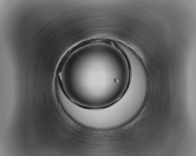 X0000116450880200912081616