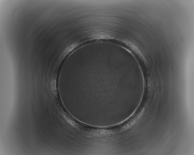 X0000116450881200912081616