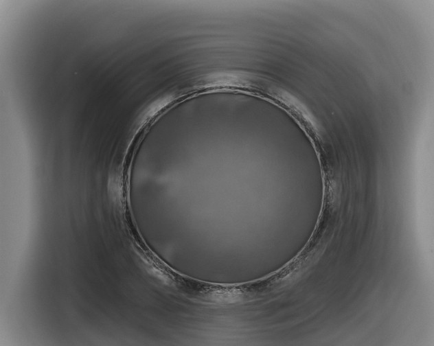 X0000116450882200912081616