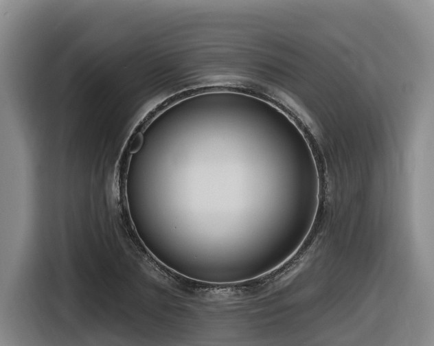 X0000116450883200912081616