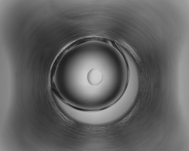 X0000116450884200912081616