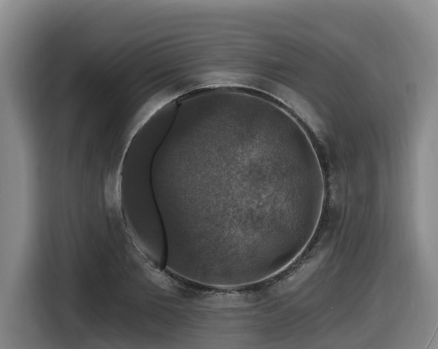 X0000116450885200912081616