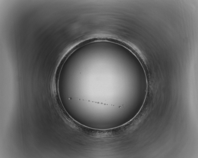 X0000116450887200912081616