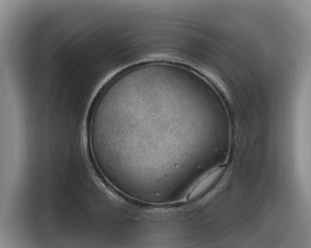 X0000116450888200912081616