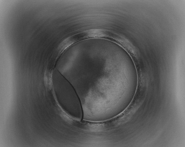 X0000116450889200912081616