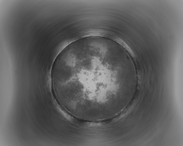 X0000116450890200912081616