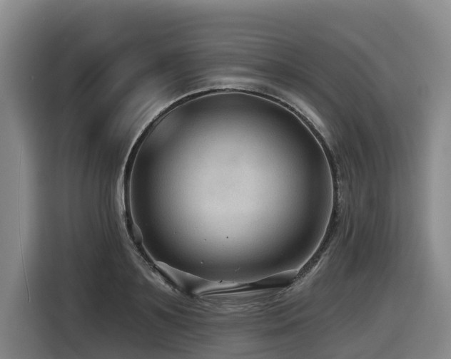 X0000116450891200912081616