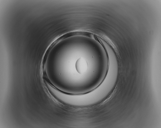 X0000116450892200912081616
