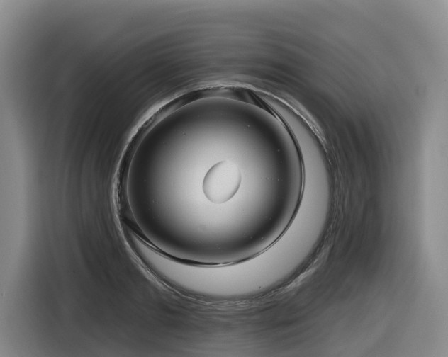 X0000116450893200912081616