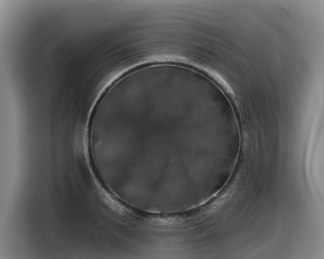 X0000116450895200912081616