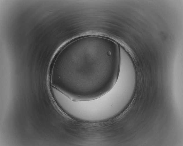 X0000116450896200912081616