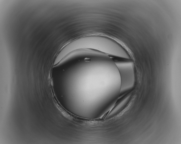 X0000116450897200912081616