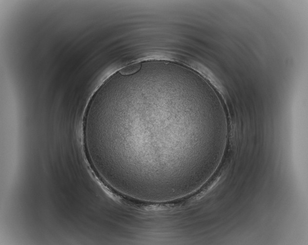 X0000116450898200912081616
