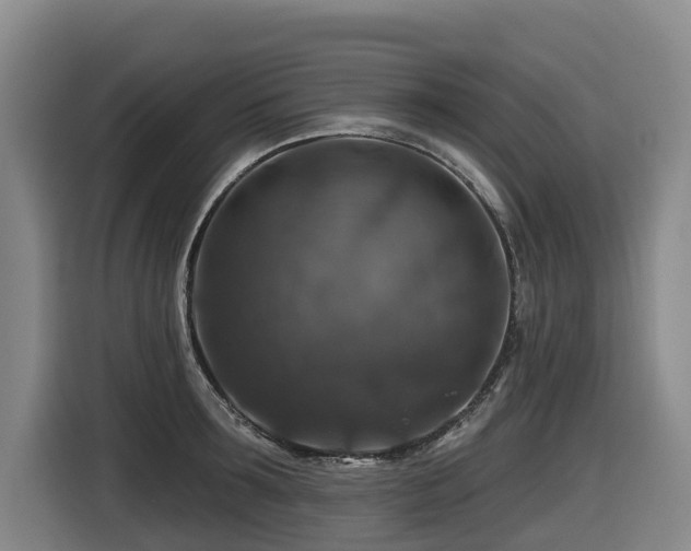 X0000116450899200912081616