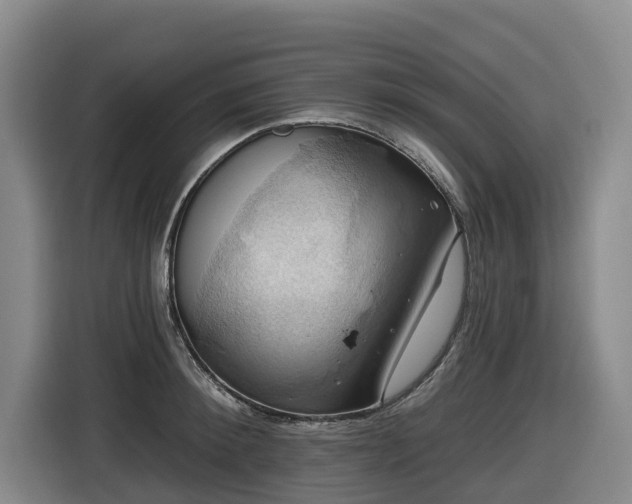 X0000116450900200912081616