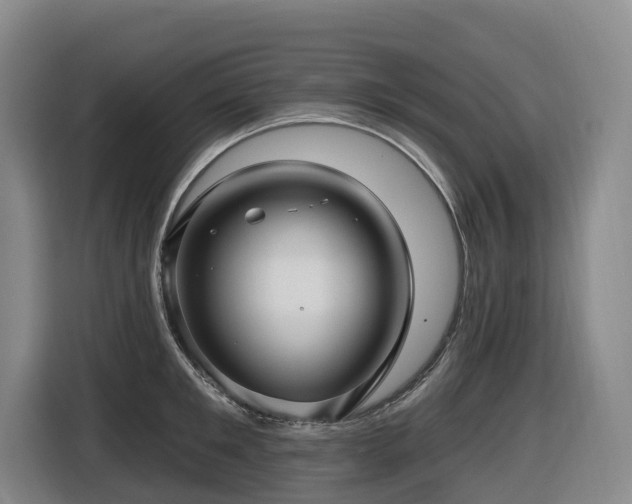 X0000116450901200912081616