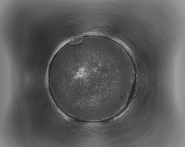 X0000116450902200912081616