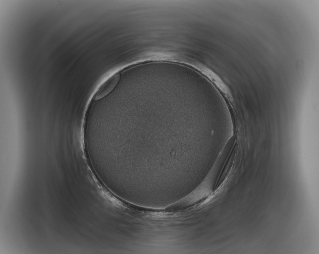 X0000116450904200912081616