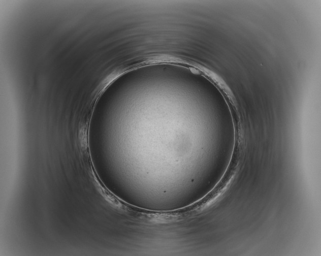 X0000116450905200912081616