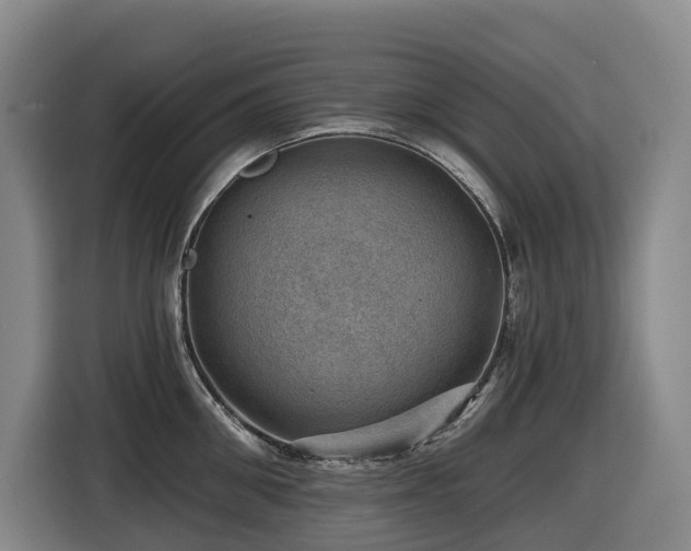 X0000116450906200912081616