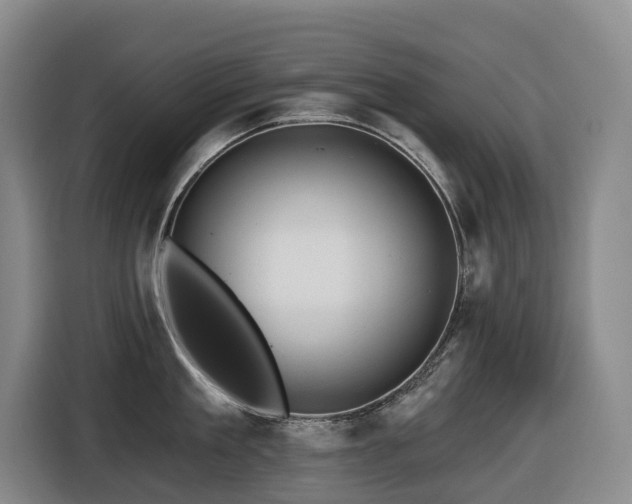 X0000116450909200912081615