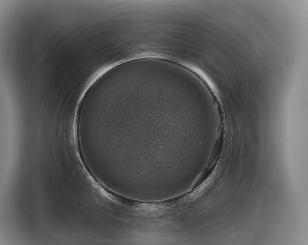 X0000116450910200912081615