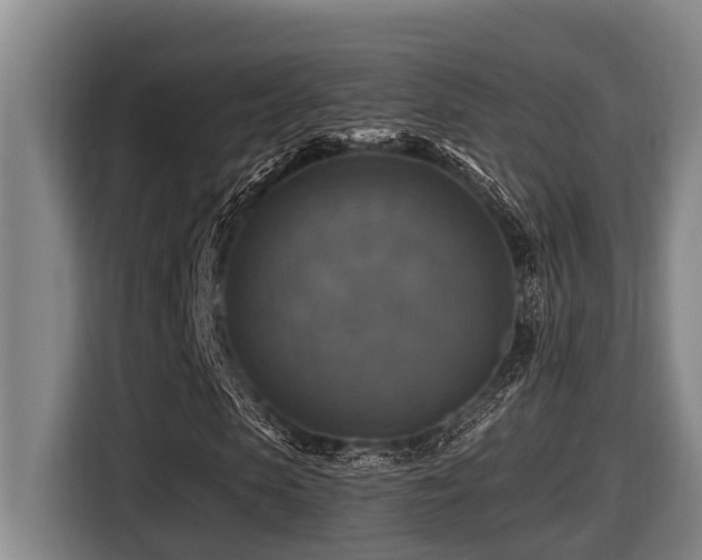 X0000116450913200912081615