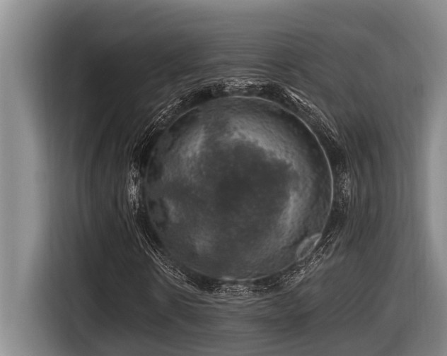 X0000116450914200912081615