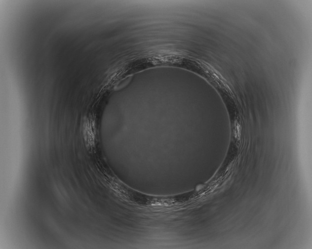 X0000116450915200912081615