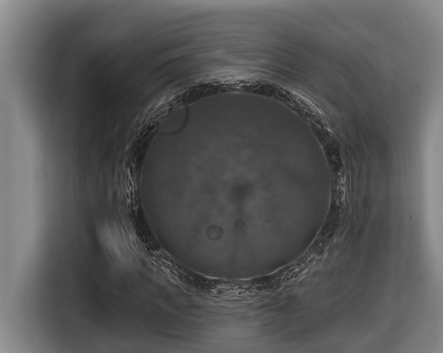 X0000116450917200912081615