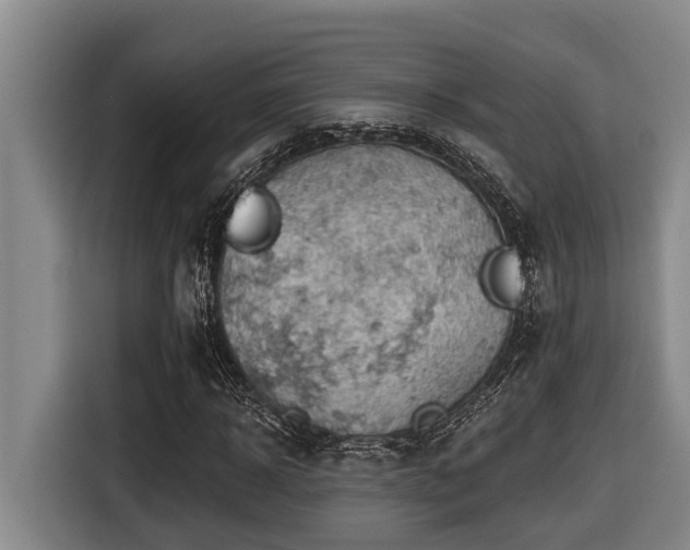 X0000116450918200912081615