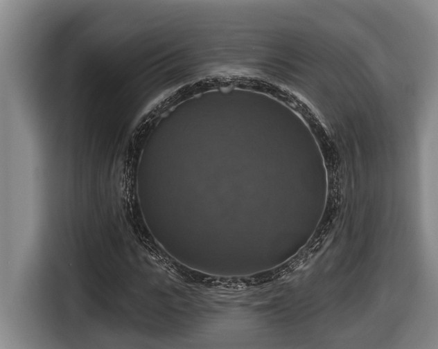 X0000116450919200912081615