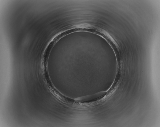 X0000116450923200912081615