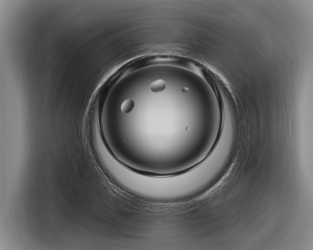 X0000116450925200912081615