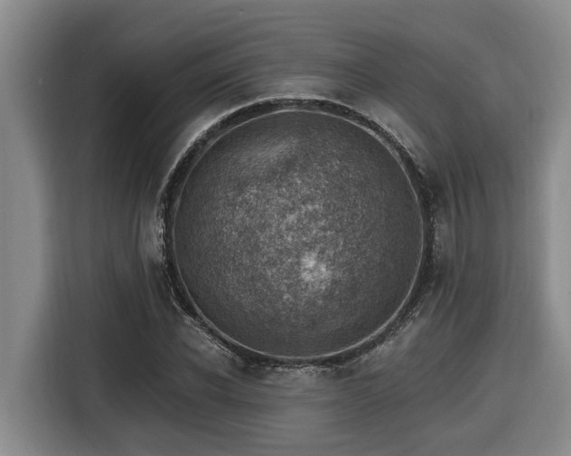 X0000116450926200912081615