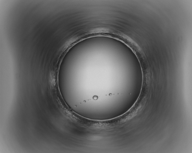 X0000116450929200912081615