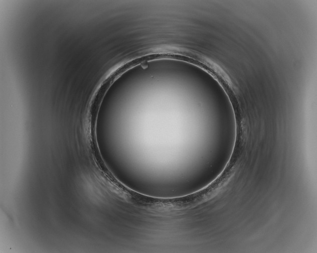 X0000116450931200912081615