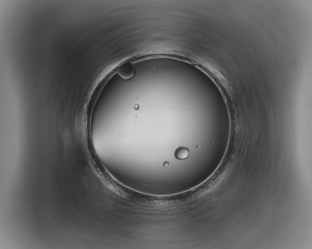 X0000116450933200912081615