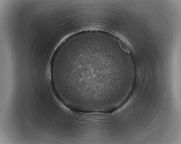X0000116450934200912081615
