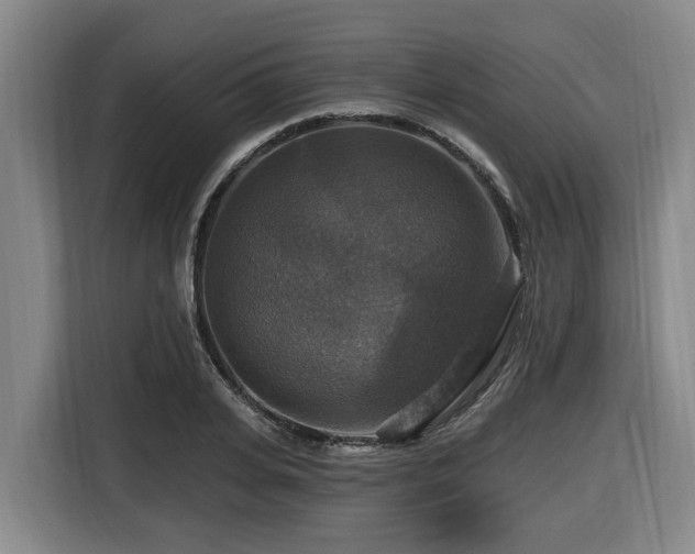 X0000116450935200912081615