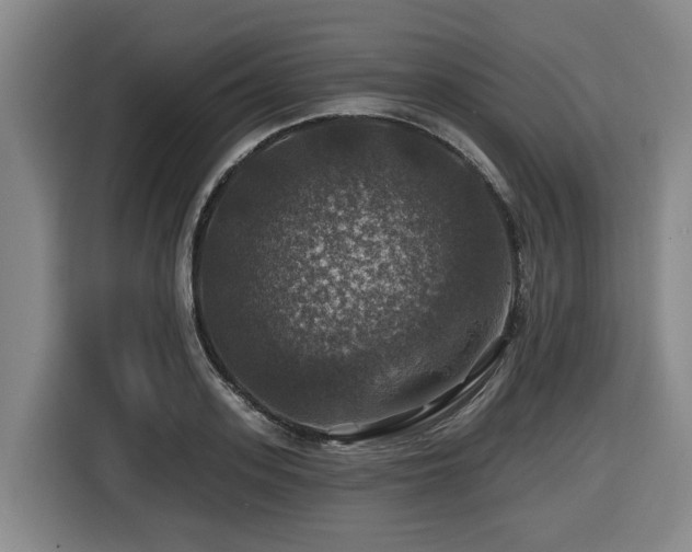 X0000116450939200912081615