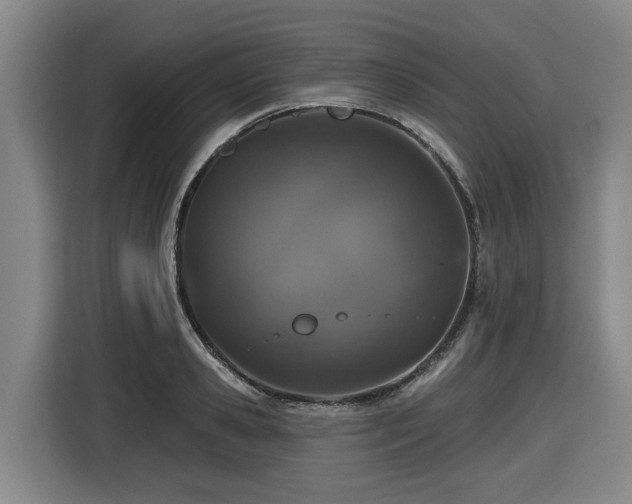 X0000116450941200912081615