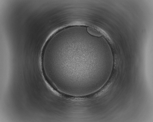 X0000116450942200912081615